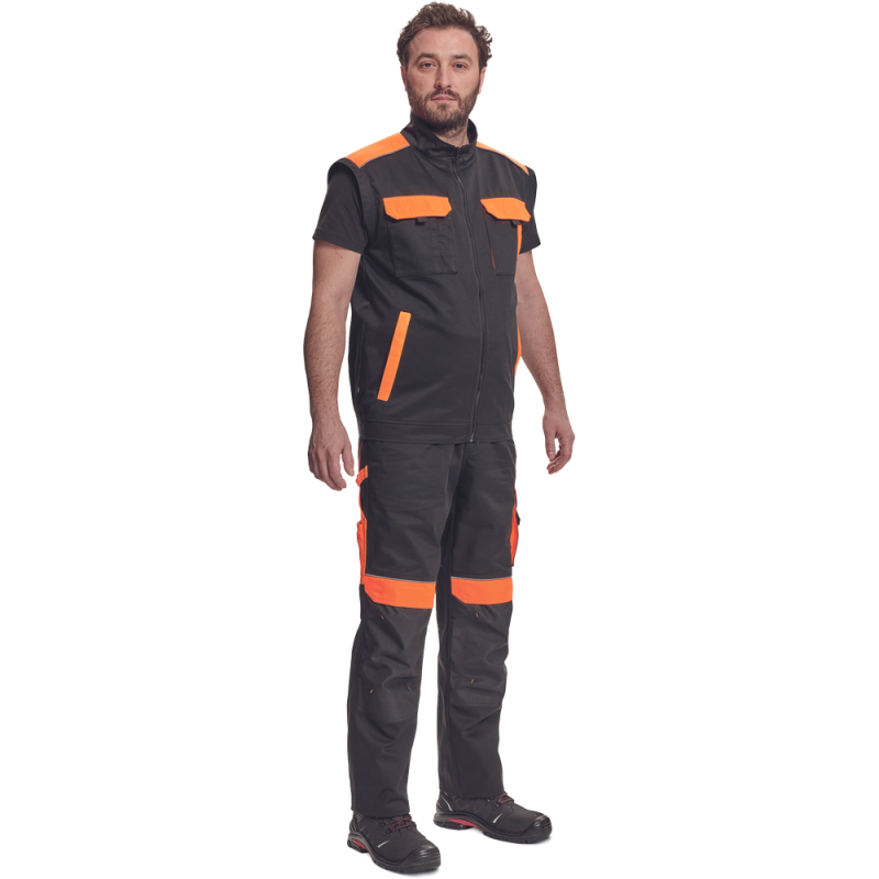 Jacheta Max VIVO